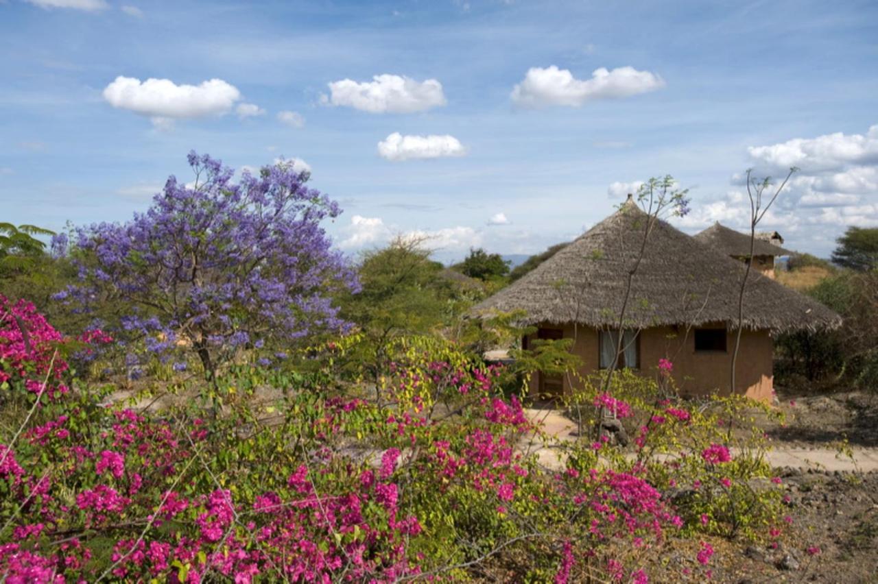 Kia Lodge Arusha Exterior photo